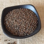 Perilla Seeds Supplier - Bird Fodder Wholesale