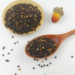 Bird Feed Manufacturer - Animal Feed Grain Custom