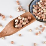 Euryale Fruit Supplier - Gorgon Seed Natural