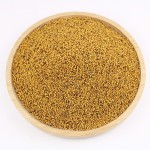 Yellow Mustard Seeds Supplier - Top Grade Dried