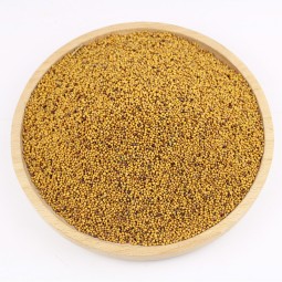 Yellow Mustard Seeds Supplier - Top Grade Dried