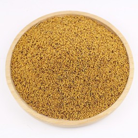 Yellow Mustard Seeds Supplier - Top Grade Dried