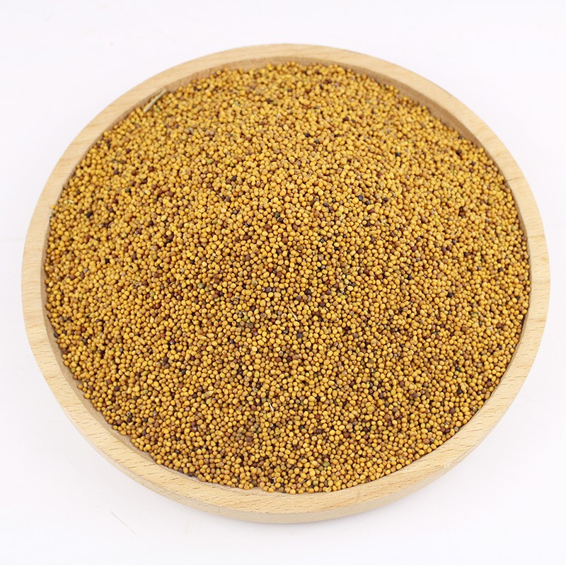 Yellow Mustard Seeds Supplier - Top Grade Dried
