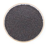 Black Mustard Seeds Factory - Organic Charm Oil