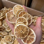Lemon Slices Factory - No Add Fresh Dried