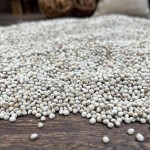 Poultry Feed Supplier - Bird Fodder Agriculture