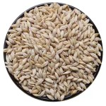 Barley Feed Manufacturer - Malt Grain Poultry