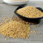 Yellow Mustard Seeds Supplier - Top Grade Dried