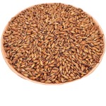 Barley Tea Factory - Stir Fried Malt Aroma