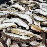 Shiitake Mushrooms Supplier - Vegan Edible Fungus