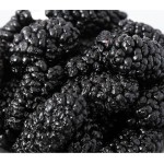 Black Mulberry Tea Supplier - Natural Flavor