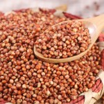 Red Sorghum Supplier - Parrot Food Bird Seed