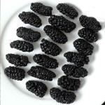Black Mulberry Tea Supplier - Natural Flavor
