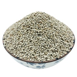 Poultry Feed Supplier - Bird Fodder Agriculture