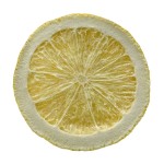 Freeze Dried Lemon Factory - Slices Tea Bulk