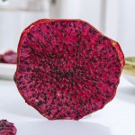 Dragon Fruit Slices Supplier - Red Heart Dried