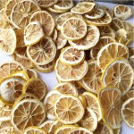 Lemon Slices Factory - No Add Fresh Dried