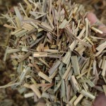 Lemongrass Leaves Manufacturer - Dried Condiment Tea