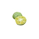 Green Kumquat Slices Factory - Freeze Drying Bulk