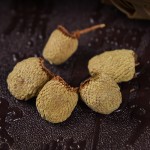 Raspberry Herb Supplier - Fructus Food Grade