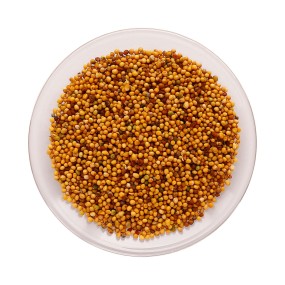 Brown Mustard Seeds Manufacturer - Best Quality
