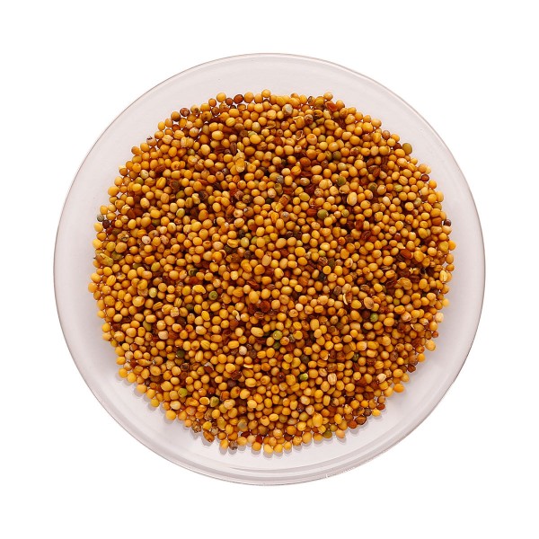 Brown Mustard Seeds Manufacturer - Best Quality