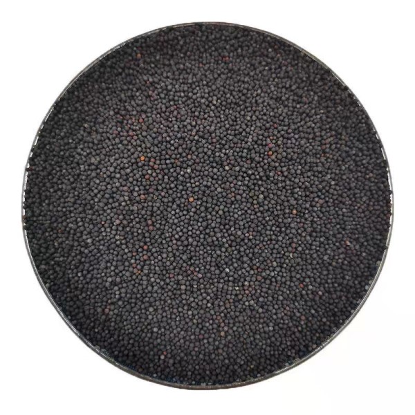 Pigeon Food Factory - Canola Seed Poultry Feed