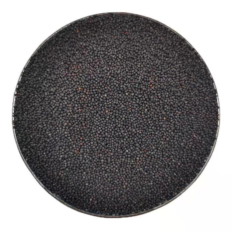 Pigeon Food Factory - Canola Seed Poultry Feed