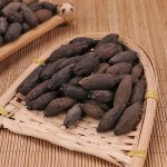 Cloves Manufacturer - Mudingxiang Fragrans