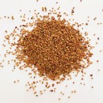 Alfalfa Seeds Supplier - Bird Food Grain Bulk