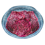 Dragon Fruit Slices Supplier - Red Heart Dried