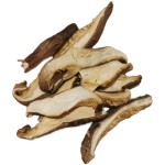 Shiitake Mushrooms Supplier - Vegan Edible Fungus