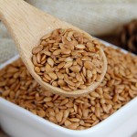 Linseed Manufacturer - High Protein Wholesale
