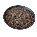 Perilla Seeds Supplier - Bird Fodder Wholesale