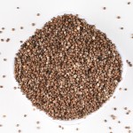 Perilla Seeds Supplier - Bird Fodder Wholesale
