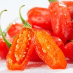 Goji Berry Manufacturer - Organic Dried Fruit