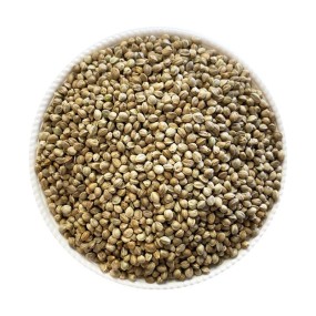 Hemp Seeds Supplier - Animal Feed Bird Grain