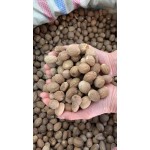 Nutmeg Factory - Round Dried Spice