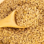 Linseed Manufacturer - High Protein Wholesale