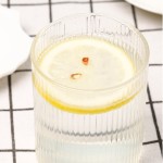 Freeze Dried Lemon Factory - Slices Tea Bulk