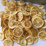 Lemon Slices Factory - No Add Fresh Dried