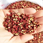 Zanthoxylum Supplier - Hua Jiao Spicy Food