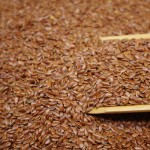Flax Seeds Factory - Unhulled Oil Seeds Bulk