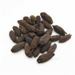 Cloves Manufacturer - Mudingxiang Fragrans