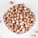 Euryale Fruit Supplier - Gorgon Seed Natural