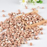 Euryale Fruit Supplier - Gorgon Seed Natural