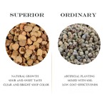 Raspberry Herb Supplier - Fructus Food Grade