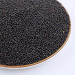 Black Mustard Seeds Manufacturer - Kitchen Spice