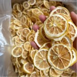 Lemon Slices Factory - No Add Fresh Dried
