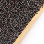 Mustard Seeds Supplier - Healthy Cooking